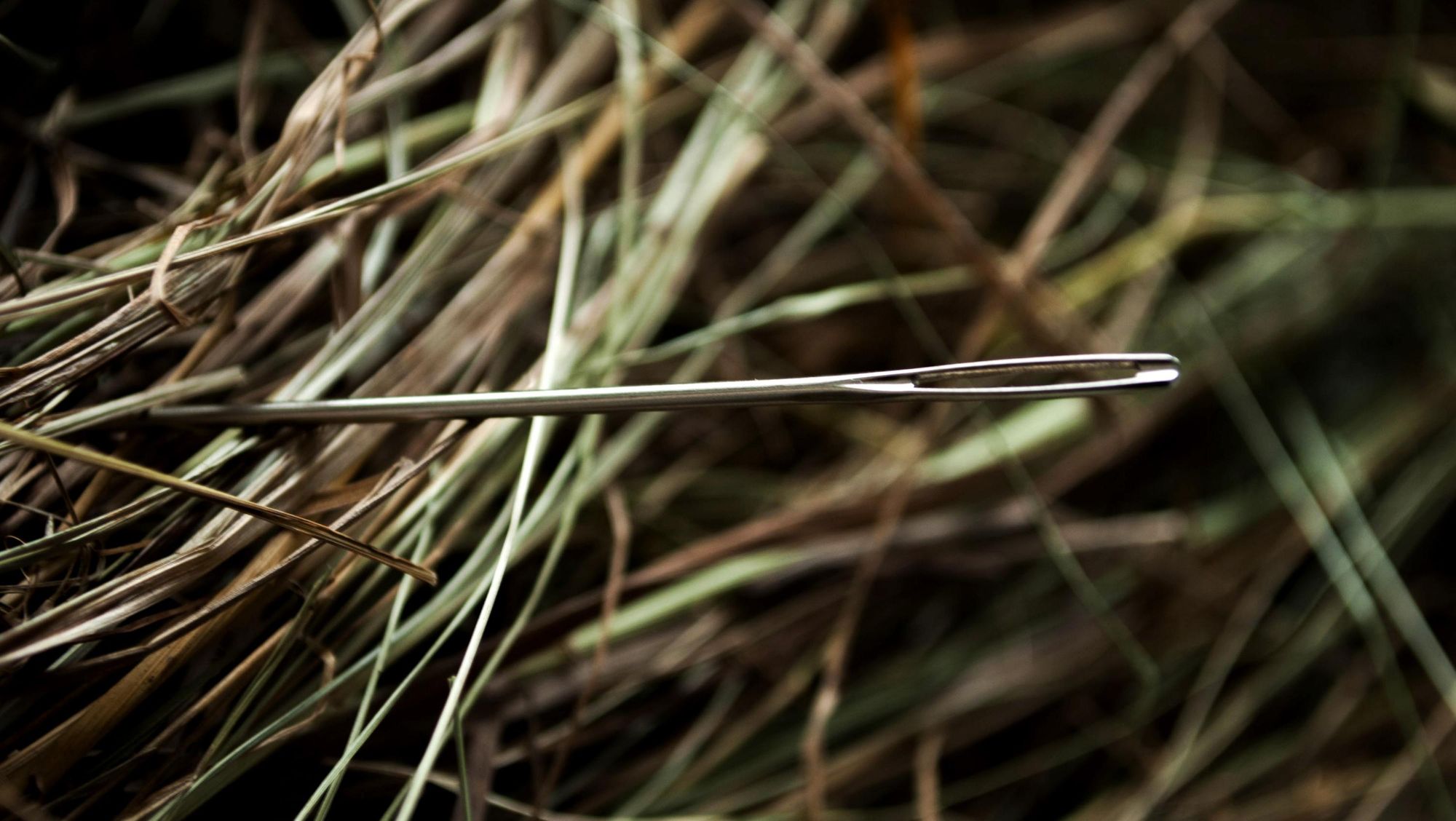 Coding gotchas: The python needle in a haystack problem.